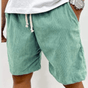 Textured Corduroy Shorts for Men